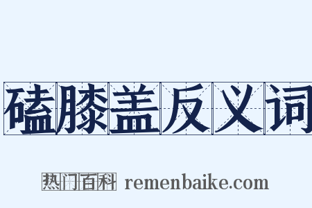 磕膝盖反义词是什么意思的图片